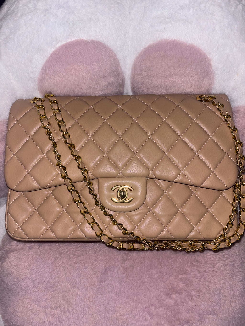 Luxury tan purse with golden hardware