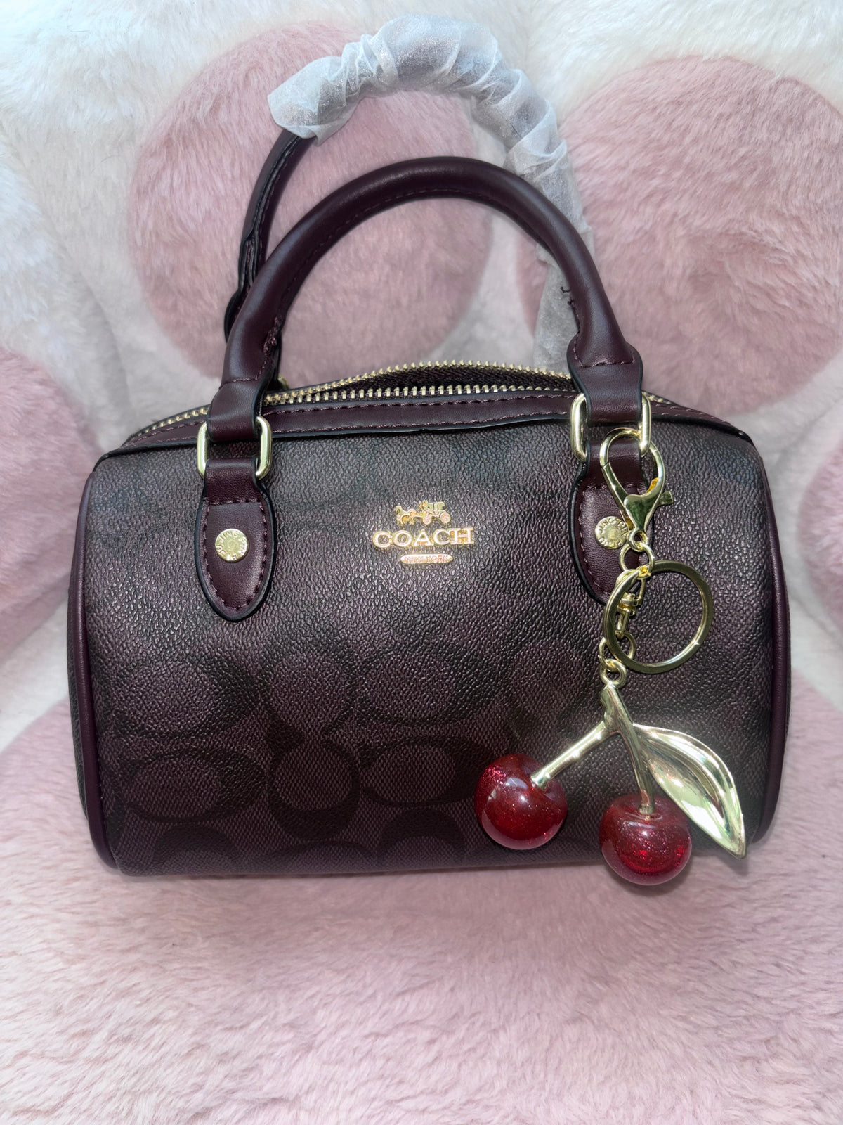 Gorgeous Purse with Cherry Charm 🍒