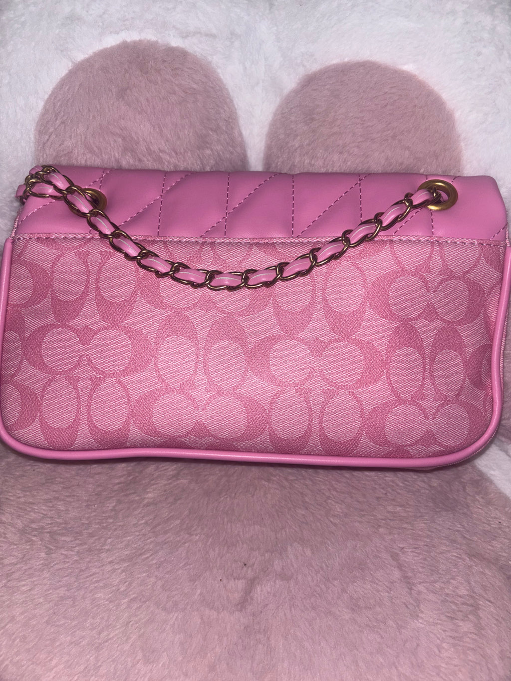 Pink Purse with accessories 🎀