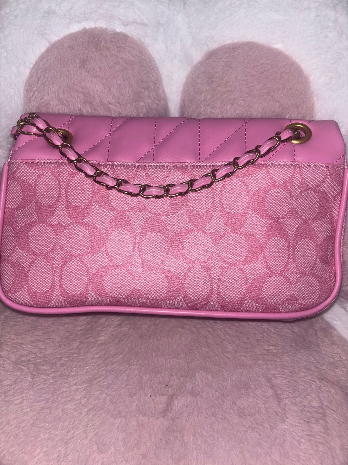 Pink Purse with accessories 🎀