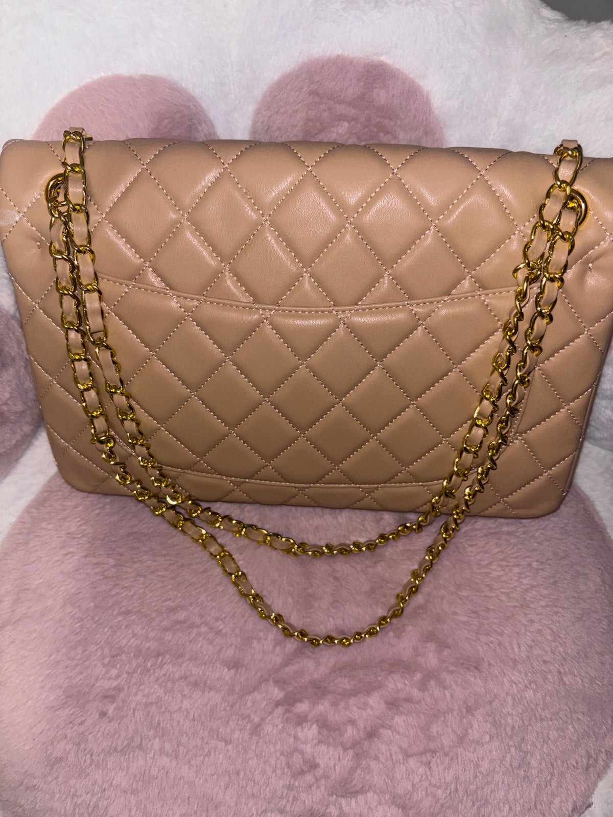Luxury tan purse with golden hardware