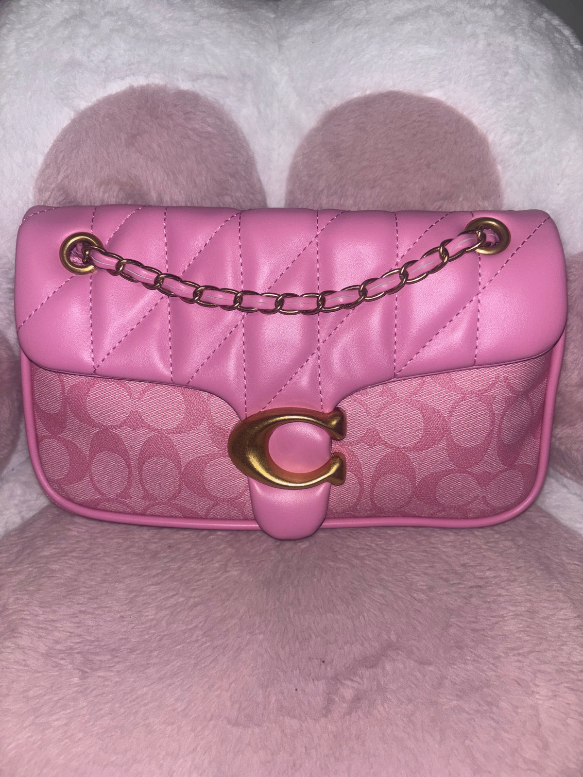 Pink Purse with accessories 🎀