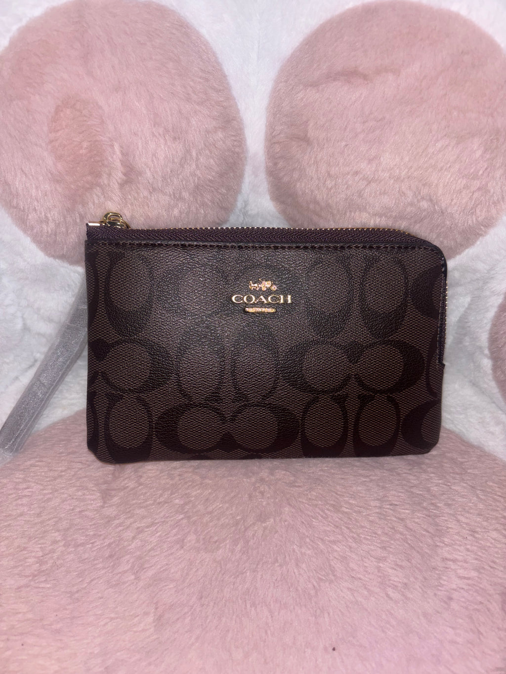 Luxurious brown wallet