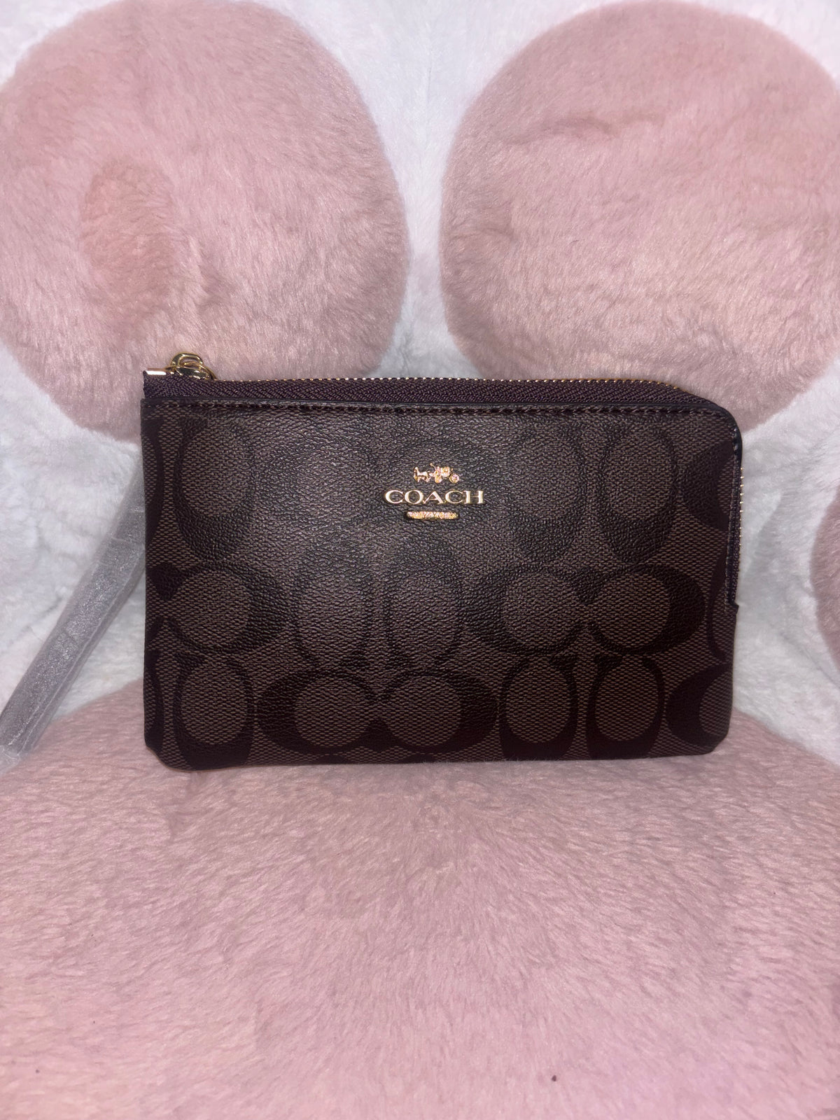 Luxurious brown wallet